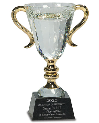 7" Crystal Trophy Cup with Gold Handles and Stem